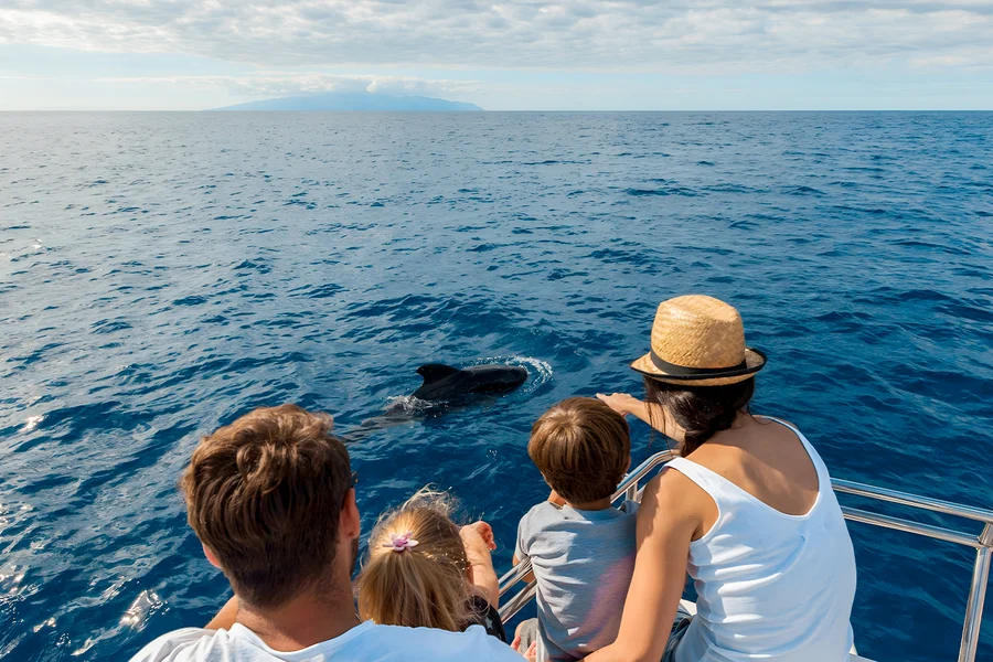 Los Gigantes: Whale & Dolphin Watching Cruise, Tenerife