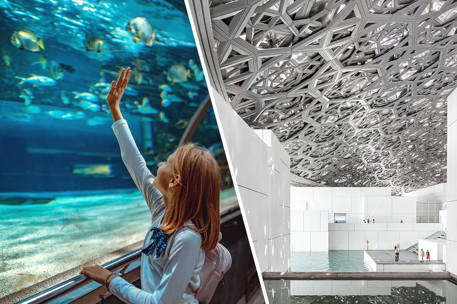 Combo (Save 19%): National Aquarium Abu Dhabi + Louvre Museum Skip-the-Line Tickets, Abu Dhabi