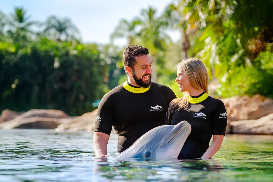 Discovery Cove Dolphin Swim Tickets, Orlando