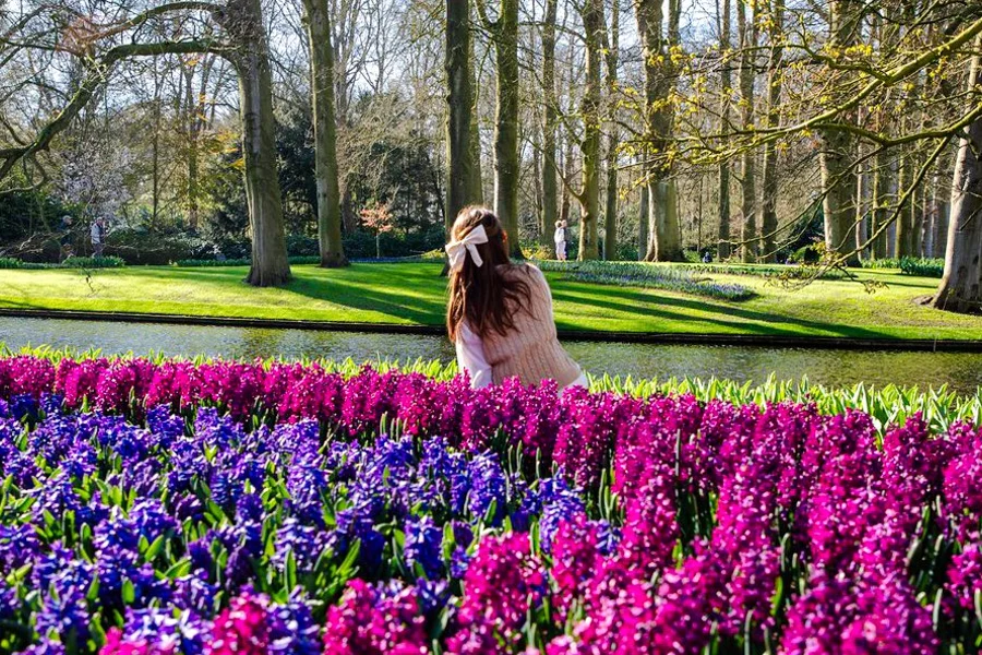 Keukenhof Entry with Transfers from Amsterdam, Amsterdam