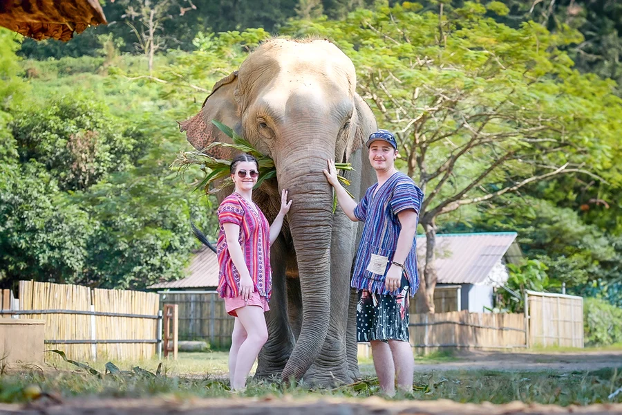 Chiang Mai: Elephant Jungle Sanctuary Tours, Chiang Mai