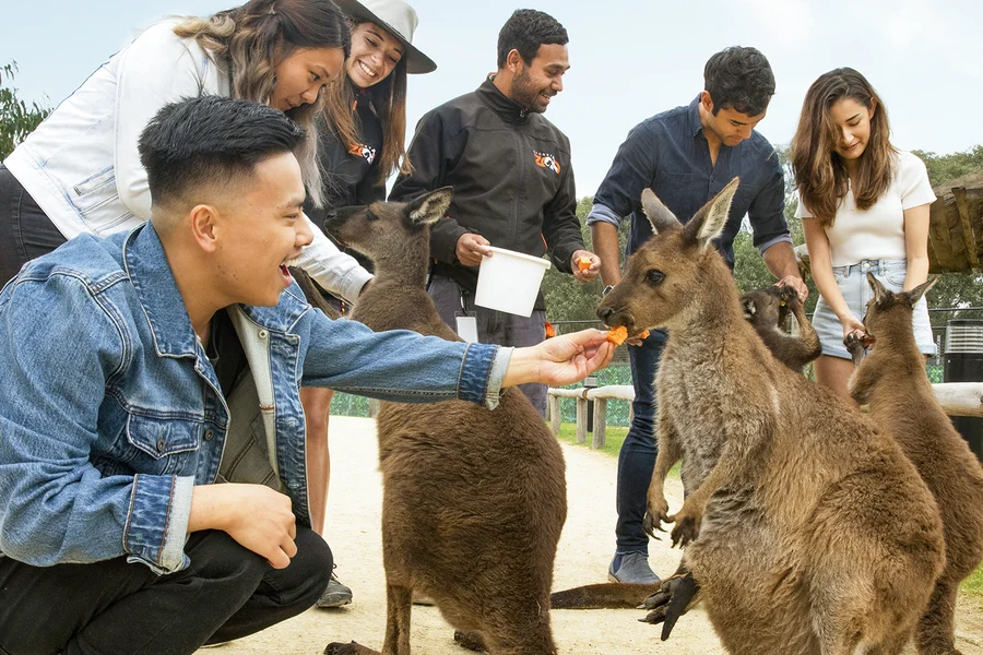 悉尼動物園門票, Sydney