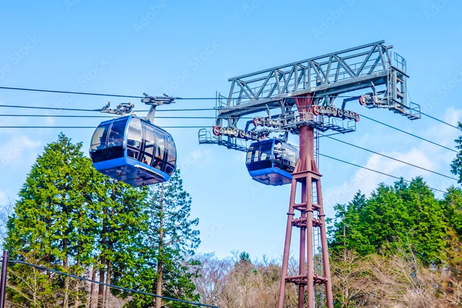 Hakone Komagatake Ropeway Round-Trip Tickets, Tokyo