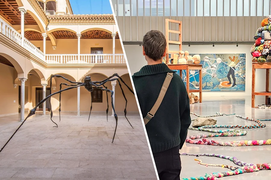 Combo: Picasso Museum Malaga + Picasso's Birthplace Museum Tickets, Malaga