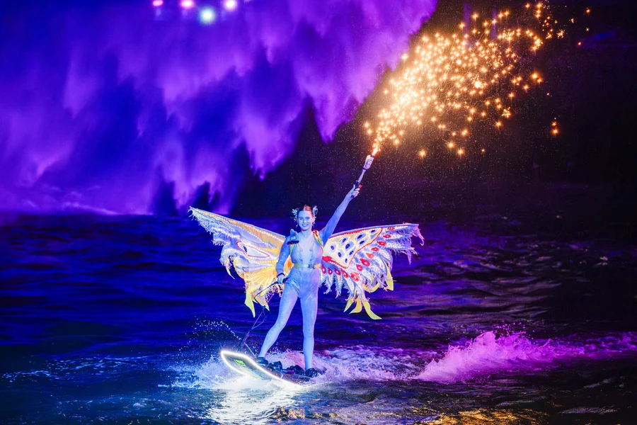 Symphony of the Sea Show With Dinner Options, Phu Quoc