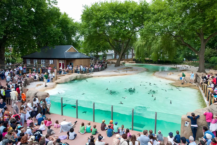 London Zoo Entrance Tickets
, London