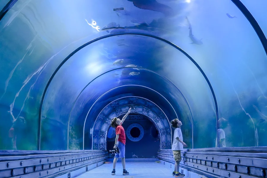 Hurghada Grand Aquarium Entry Tickets, Hurghada