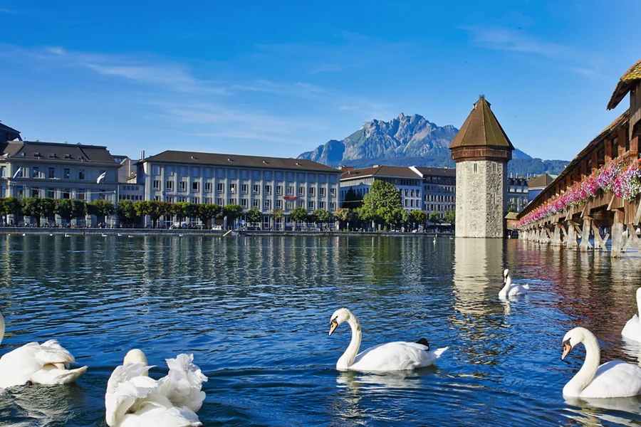 From Zürich: Lucerne Day Trip with Optional Motorboat Cruise, Zurich