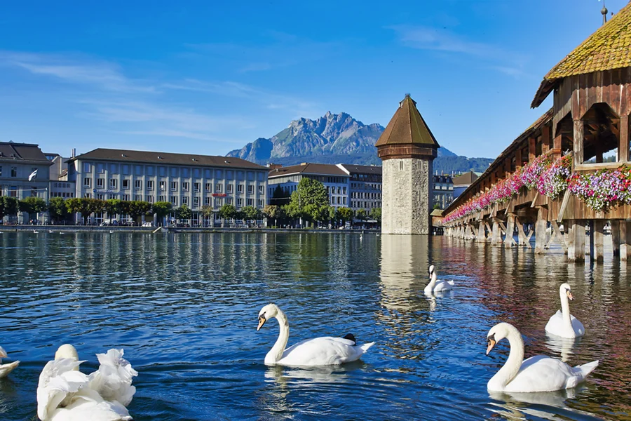 Day Trip to Lucerne from Zürich with Yacht Cruise, Zurich