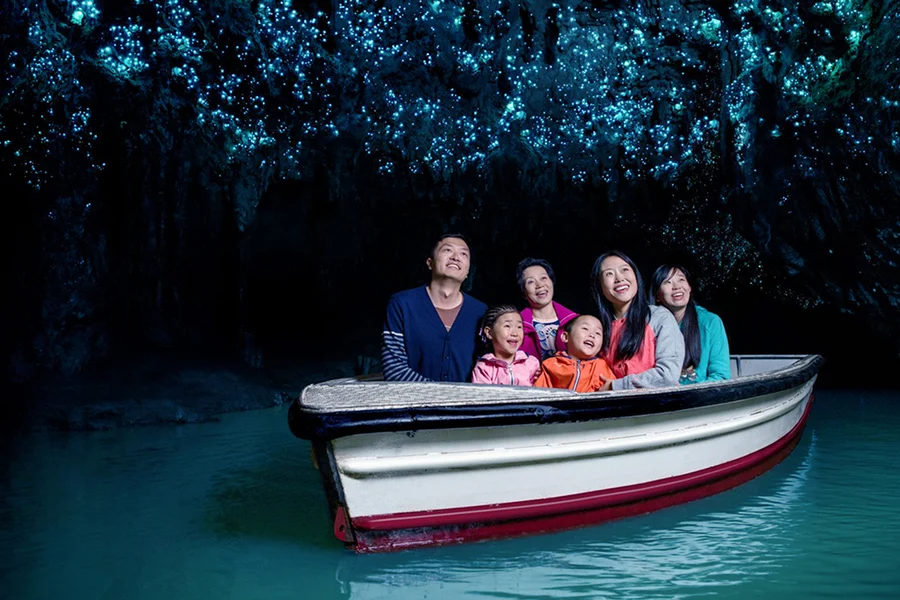 From Auckland: Waitomo Caves, Rotorua & Te Puia Guided Tour, Waitomo