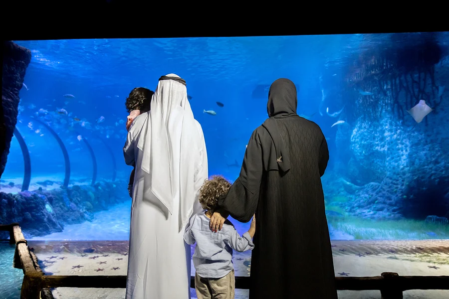Tickets to National Aquarium Abu Dhabi with Bu Tinah Dhow Experience, Abu Dhabi