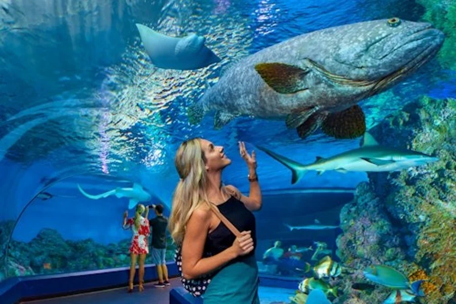 ビオパルク ヒホン水族館:入場チケット, Cairns