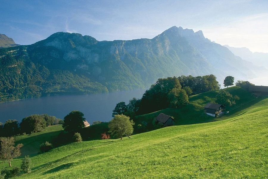 Từ Zurich: Chuyến đi trong ngày đến Heidiland, Zurich