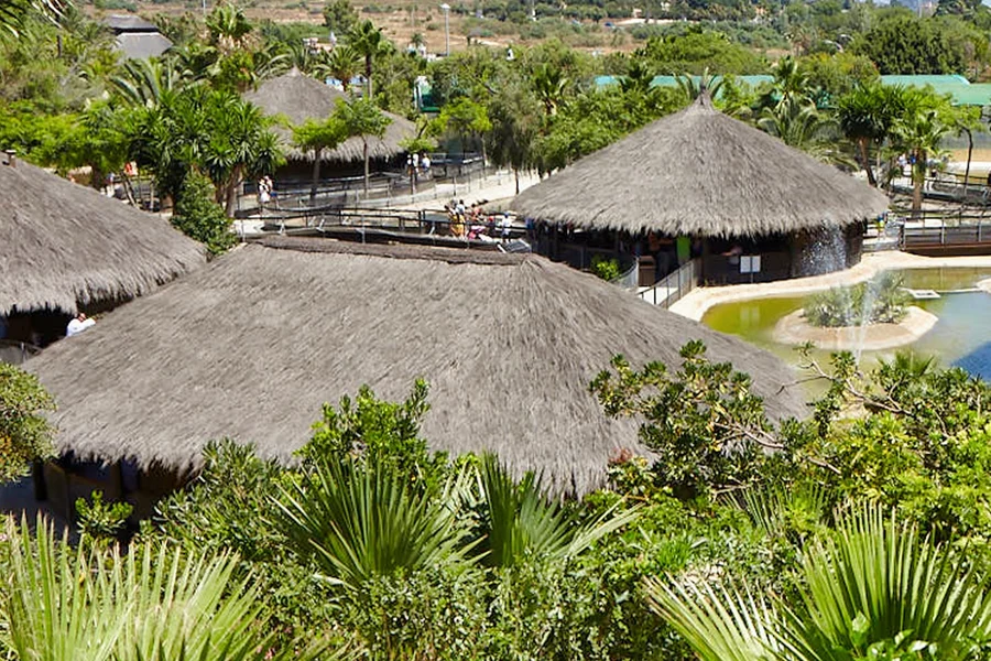免排隊票至鱷魚公園, at Crocodile Park Torremolinos C/ Cuba, Malaga