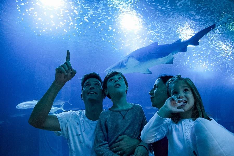 Oceanogràfic Tickets , Valencia