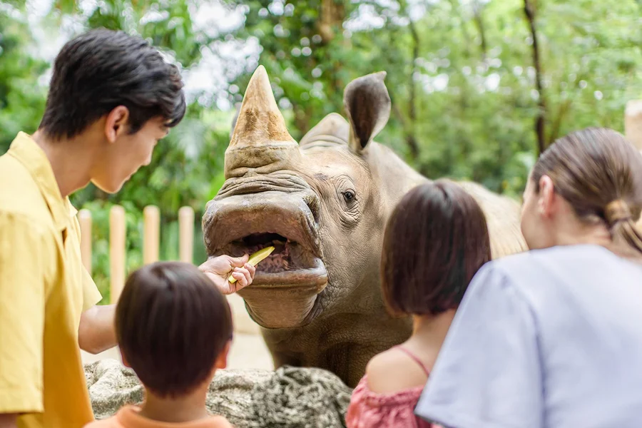 Billets pour le Zoo de Singapour avec tour en tramway, at 80 Mandai Lake Rd, Singapore 729826, Singapore