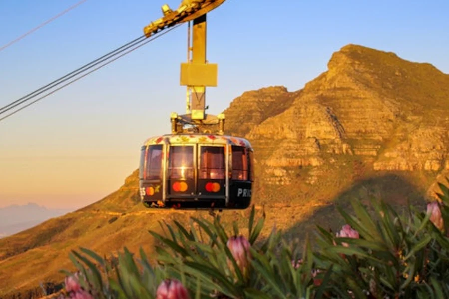 جبل الطاولة، شاطئ بولدرز ونقطة كيب: جولة خاصة + نقل ذهاب وإياب, Cape Town