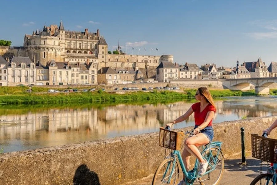Château d'Amboise: Entrada sin colas, Amboise