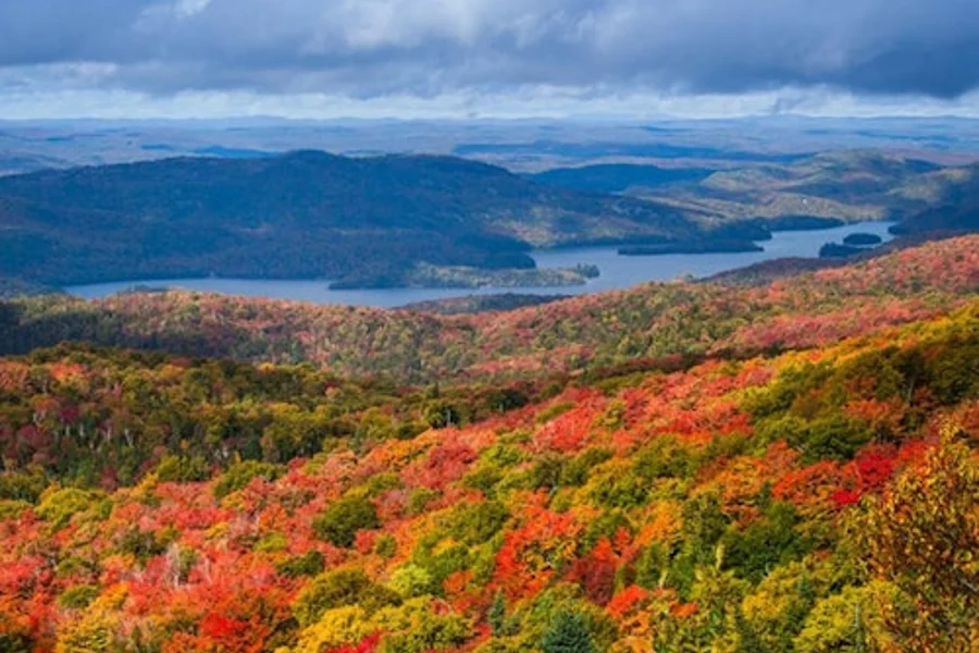 Laurentian Mountains & Mont-Tremblant: Day Trip from Montreal, Montreal