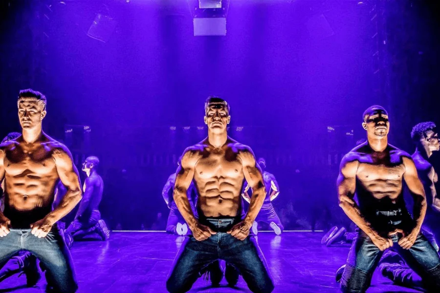 Magic Mike Live, at Sahara Las Vegas, Las Vegas