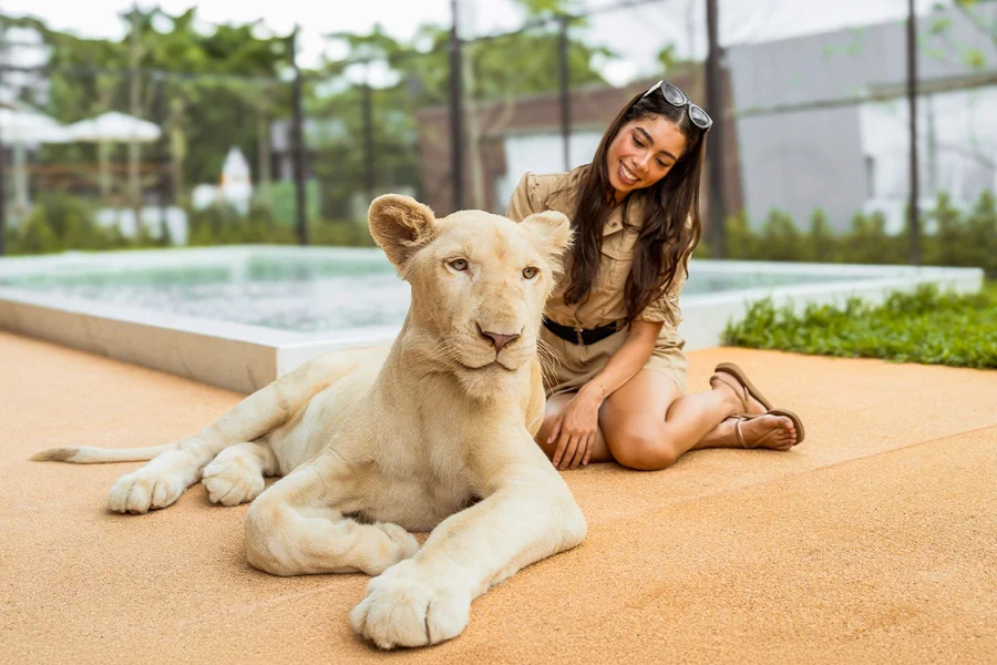 Tiket Lion Land Phuket, at Lion Land Phuket, Phuket