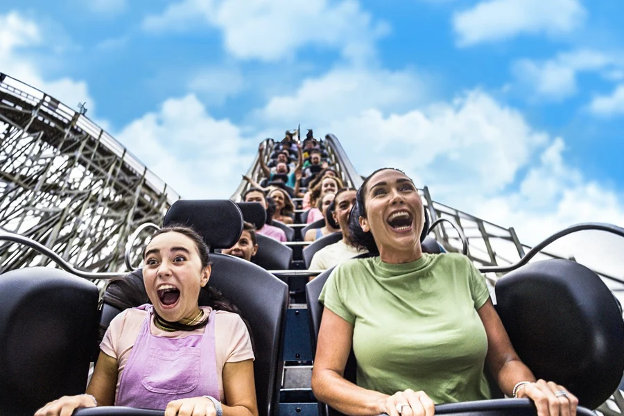 Unlimited Multi-Day Theme Parks Pass: Movie World, Sea World & Wet'n’Wild, Gold Coast