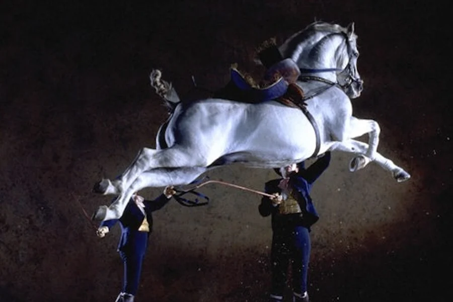 Paaralan ng Royal Andalusian sa Equestrian Art: Palabas ng Kabayo ng Andalusian, Jerez De La Frontera