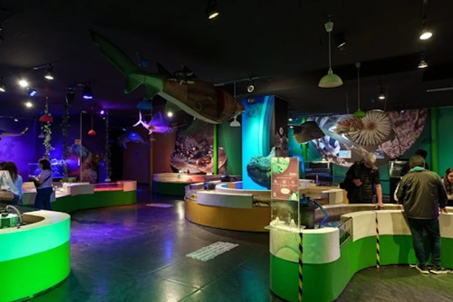 墨西哥城的 Inbursa 水族館:入場票, Mexico City