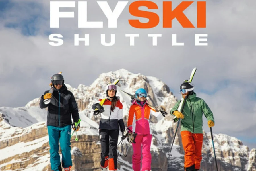 Dolomites: Flyski Shuttle from Passo del Tonale to Verona Airport, at Airport Transfers Verona, Verona