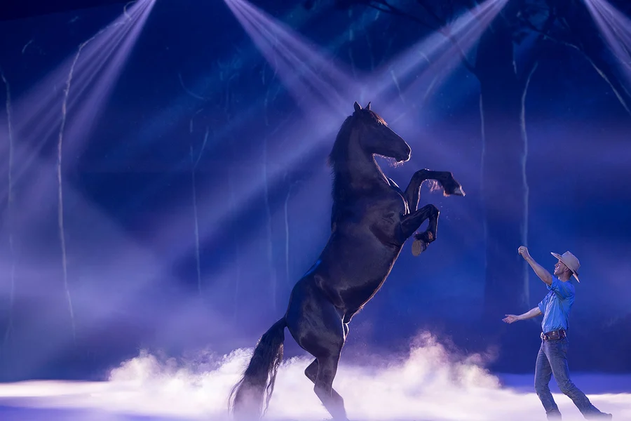 Australian Outback Spectacular Heartland Show Tickets with Dinner, Gold Coast