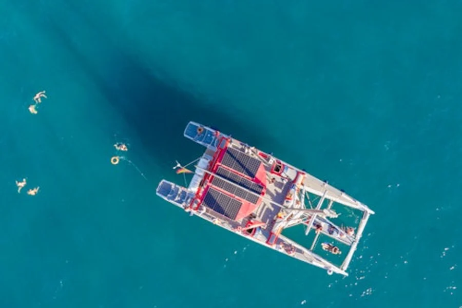 Tenerife: Tour de Ecocatamarã de Observação de Baleias e Golfinhos de 3 Horas, at Tenerife Sailing Tours, Costa Adeje