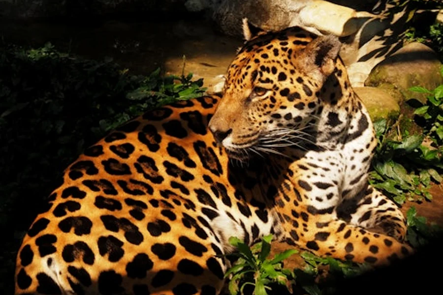 Parque de la Conservación Medellín: Skip The Line Ticket, Medellin