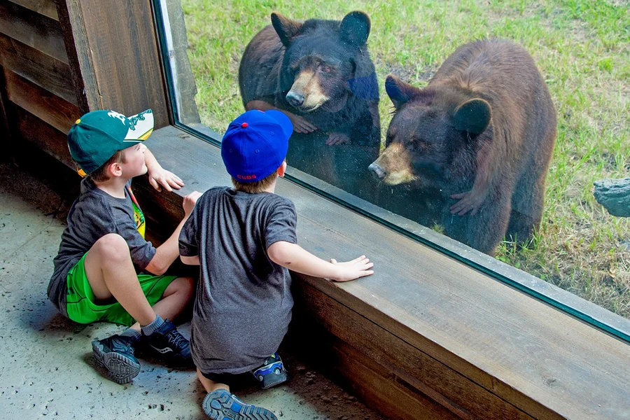 Zoo Miami Tickets: Groups of 4 And More, Miami