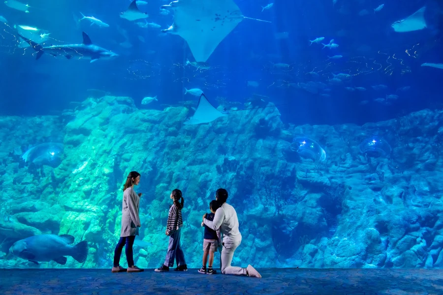 ओशन पार्क हांगकांग टिकट, at Ocean Park, Hong Kong
