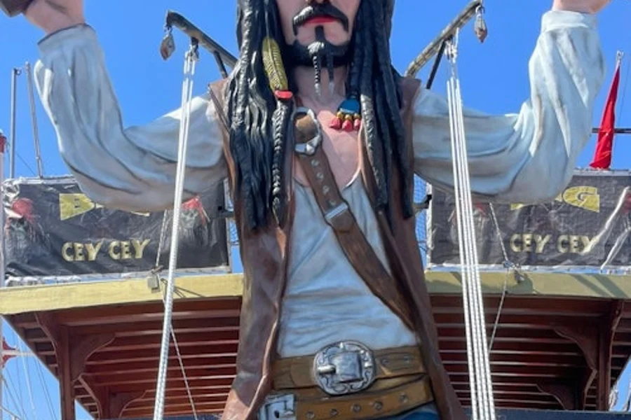 Bodrum: Pirate Party Boat Trip, Bodrum