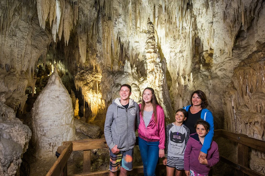 Екскурсія з гідом по печері Арануї, at 39 Waitomo Village Road, Waitomo Caves 3977, New Zealand, Waitomo