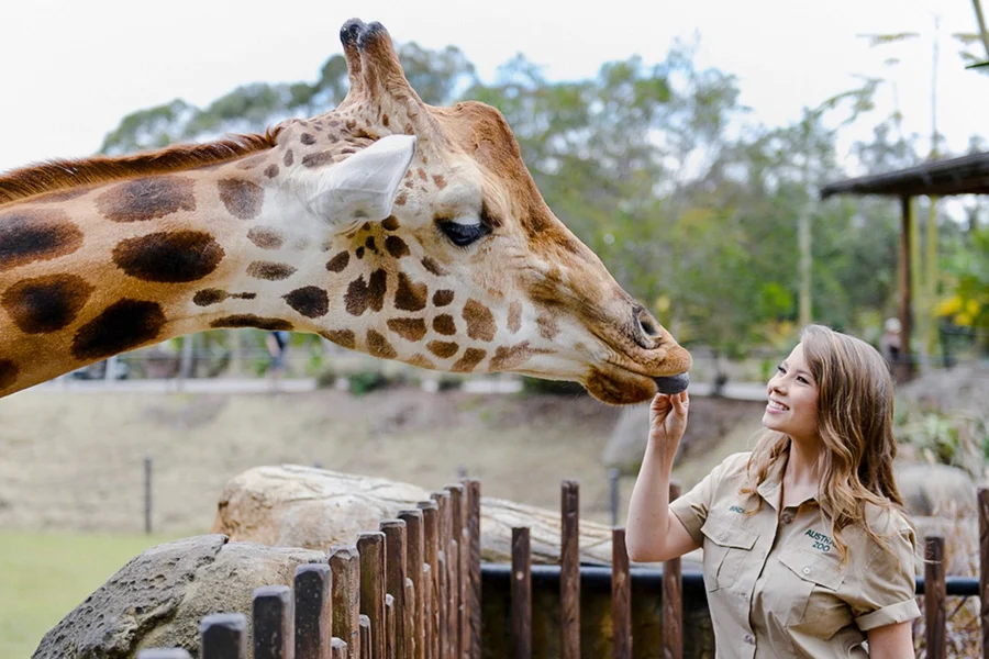 Mula sa Brisbane: Australia Zoo, Mooloolaba Beach at Surf Club Tour na may Kasamang Tanghalian at Inumin, Brisbane