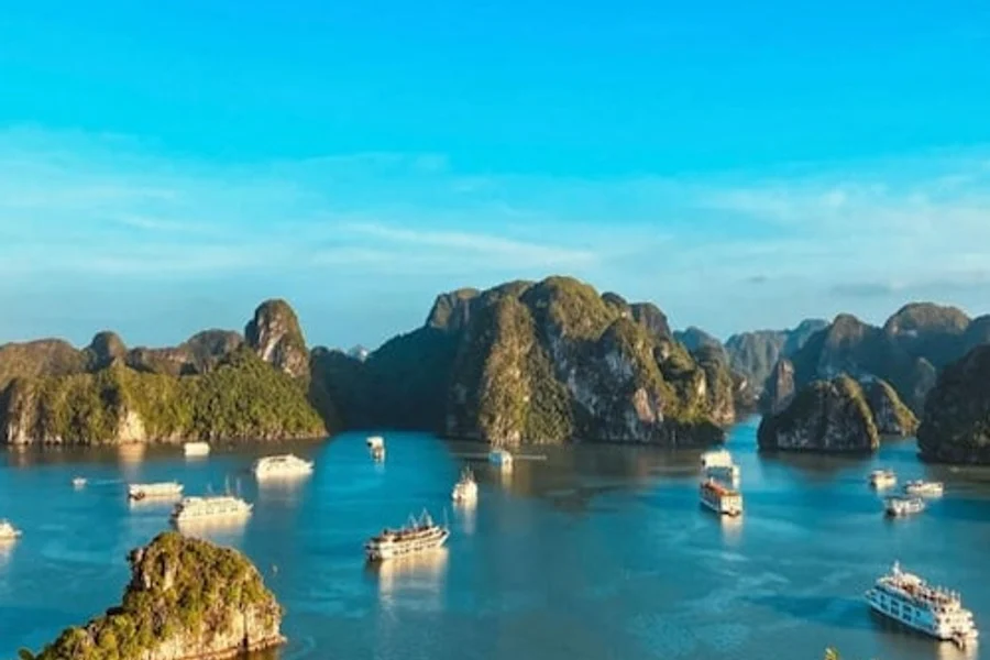 Ha Long Bay: Full-Day Guided Cruise from Hanoi with Ti Top Island + Lunch, Hanoi