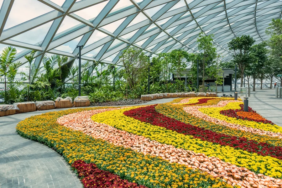 Jewel Changi Canopy Park Tickets with Mazes, at Jewel Changi Airport, Singapore