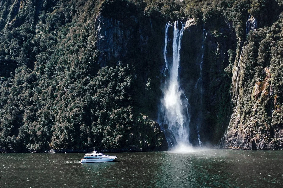 Pelayaran Milford Sound, at Pure Milford, Milford Sound, Milford Sound