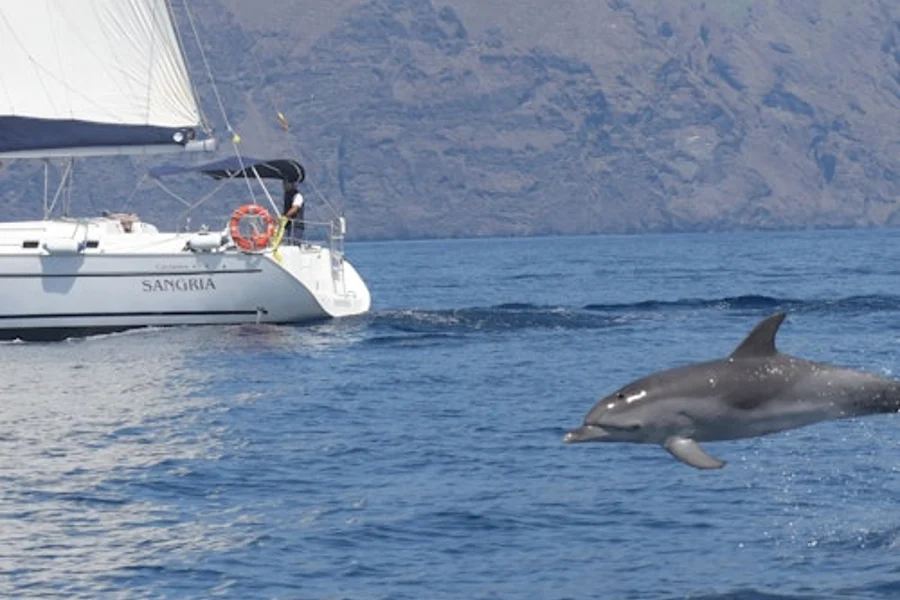 Tenerife: Passeio de Veleiro de 3 Horas até Los Gigantes com Snorkeling, Bebida e Tapas, at Tenerife Sailing Tours, Costa Adeje