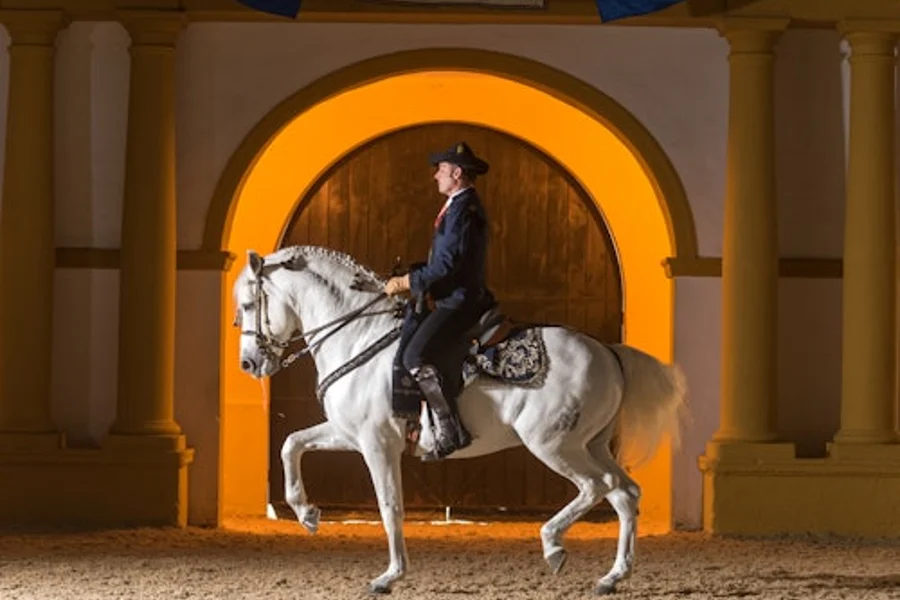Royal Andalusian School of Equestrian Art: Kumpletong Pagbisita + Opsyonal na Pag-upgrade ng VIP, Jerez De La Frontera