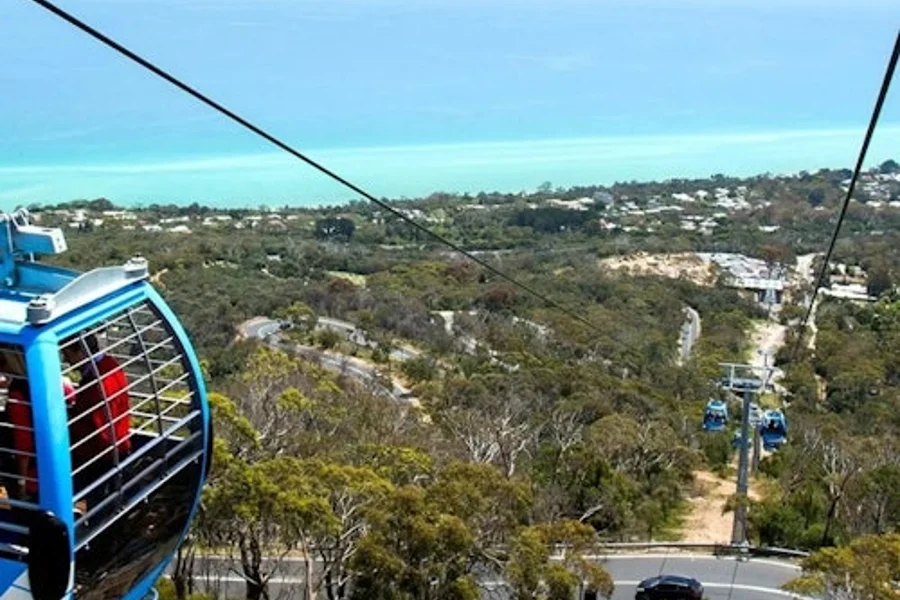 Mornington Peninsula: Arthurs Seat Eagle Gondola Ticket, Melbourne