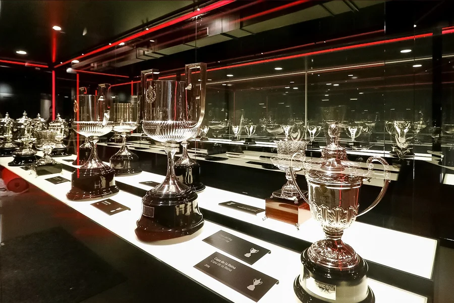 Atlético de Madrid Stadium & Museum Guided Tour, Madrid