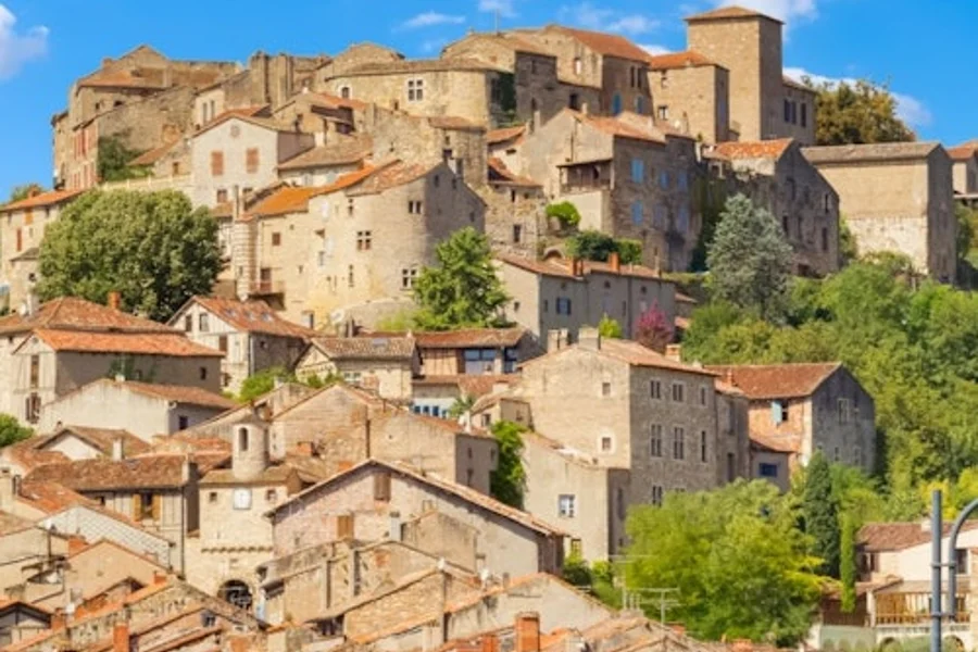 Albi, Cordes-sur-Ciel & Gaillac: Guided Tour from Toulouse + Wine Tasting, Toulouse