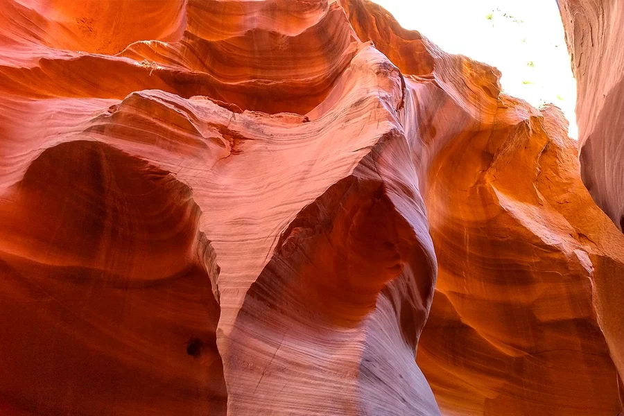 From Las Vegas: Antelope Canyon & Horseshoe Bend Tour, Las Vegas