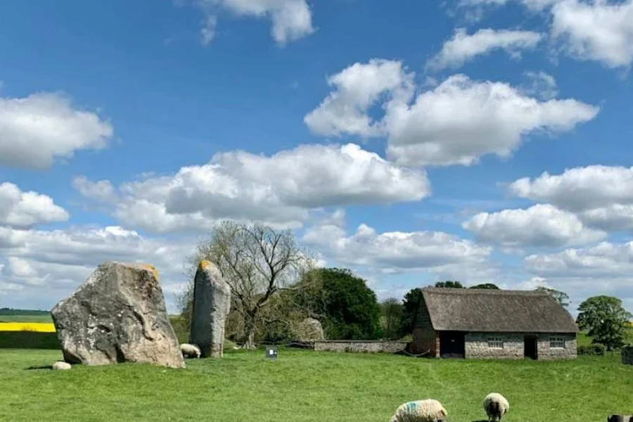 Stonehenge & Stone Circles of Avebury: Guided Day Trip from London, at Stonehenge & Bath Tours from London