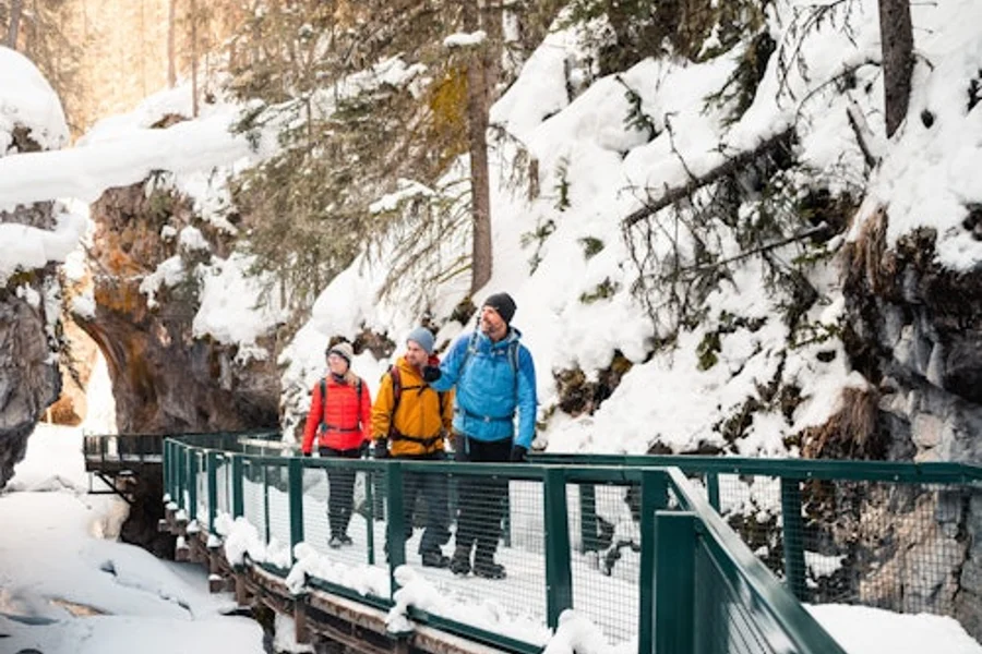 Johnston Canyon Icewalk from Banff, Banff
