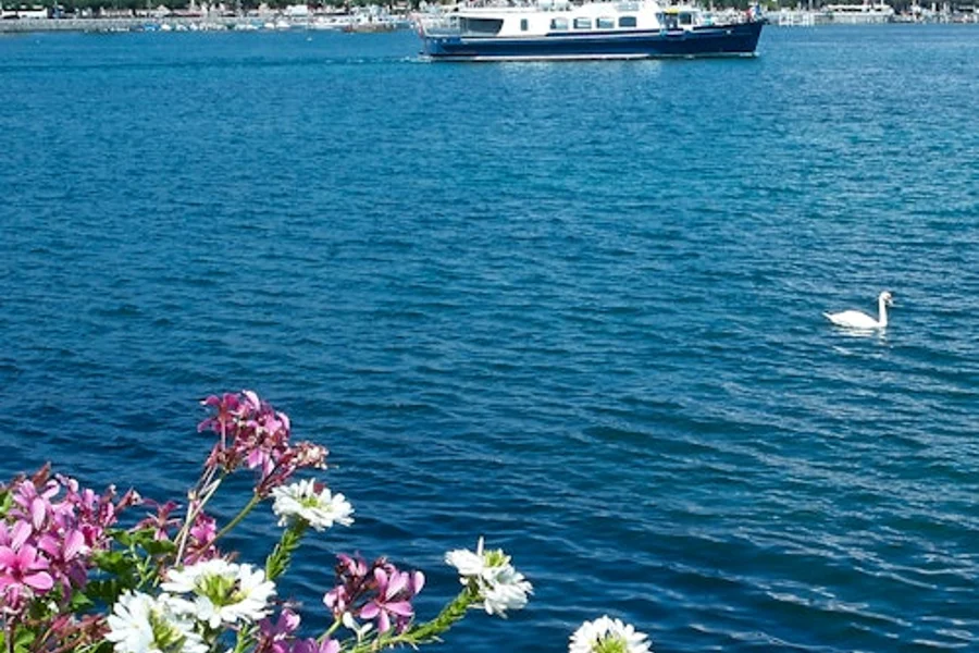 Genfer Bootstour, Geneva