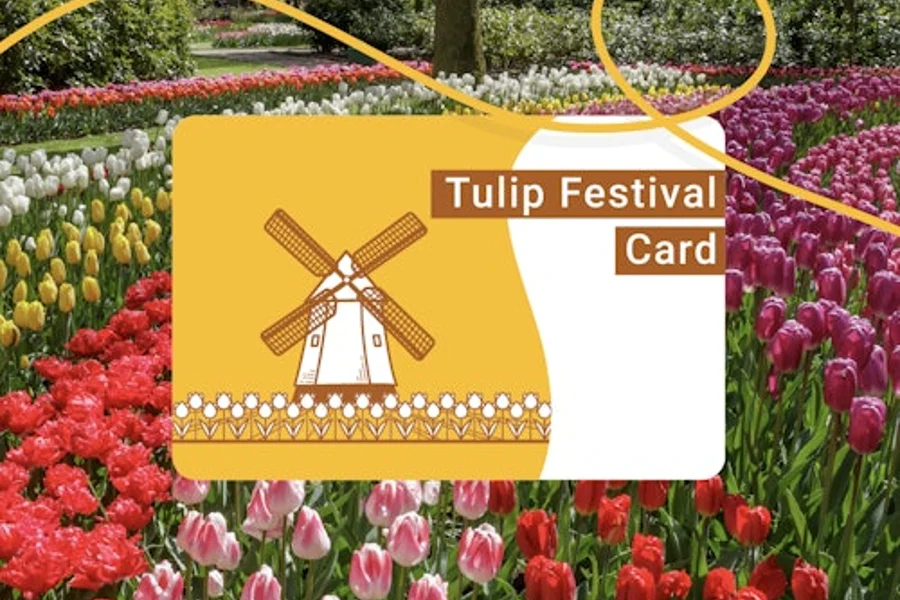 Tulip Festival Card, Lisse